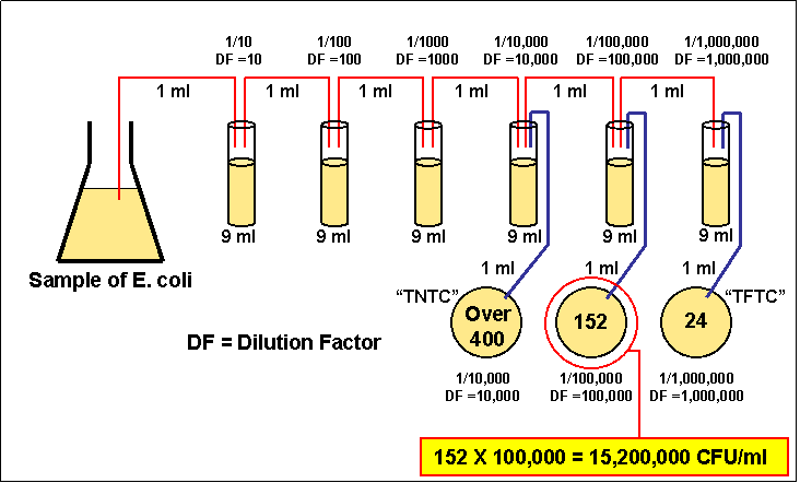 dilution-factor-formula